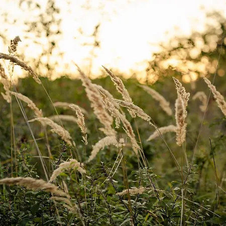 Kotyogó Apartmanok, Apartamento Bogács