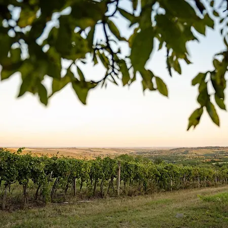 Kotyogó Apartmanok, * Bogács