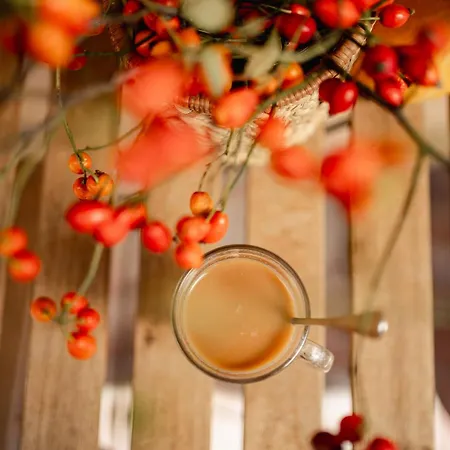 Apartamento Kotyogó Apartmanok, Bogács