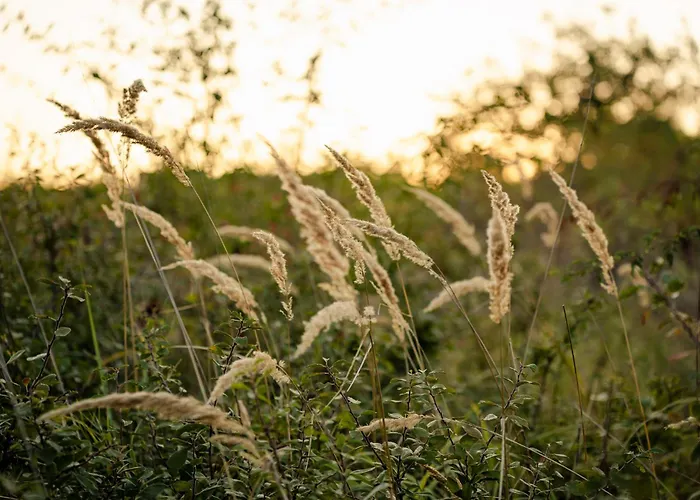 Kotyogo Apartmanok, דירה Bogács