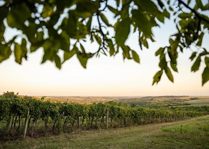 Kotyogo Apartmanok, * Bogács